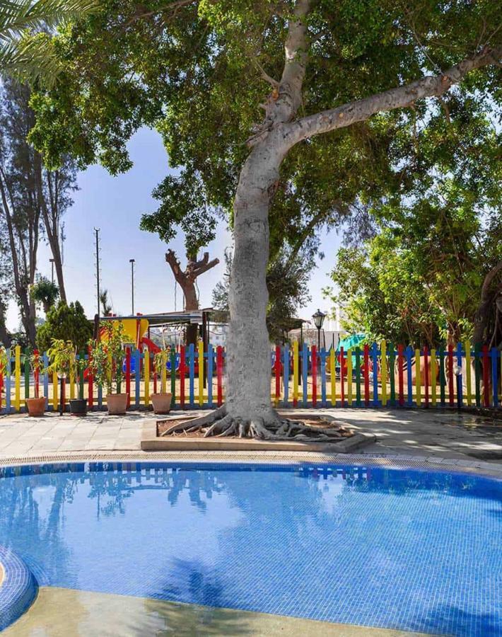 Dream Studio270M From The Beach Paphos Exterior photo